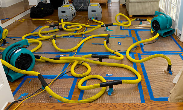 Professional Water Extraction technician working in Goodells, MI
