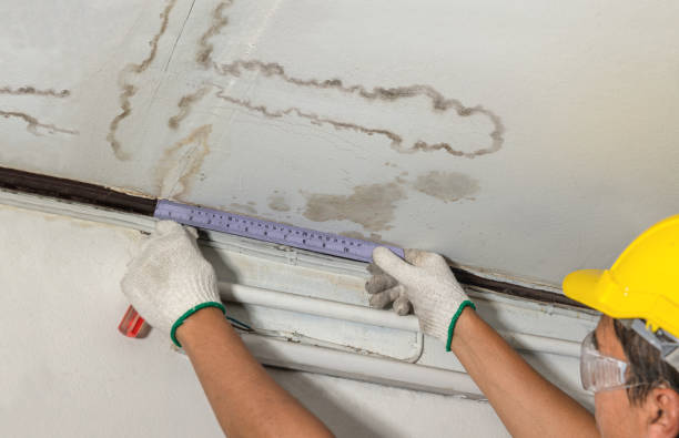 Affordable Water Damage Repair solutions in Goodells, MI